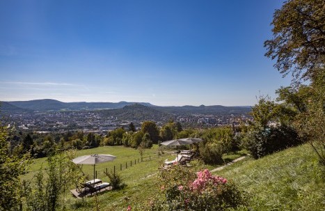 37-Gebäude_Rolling_Rotors-klein