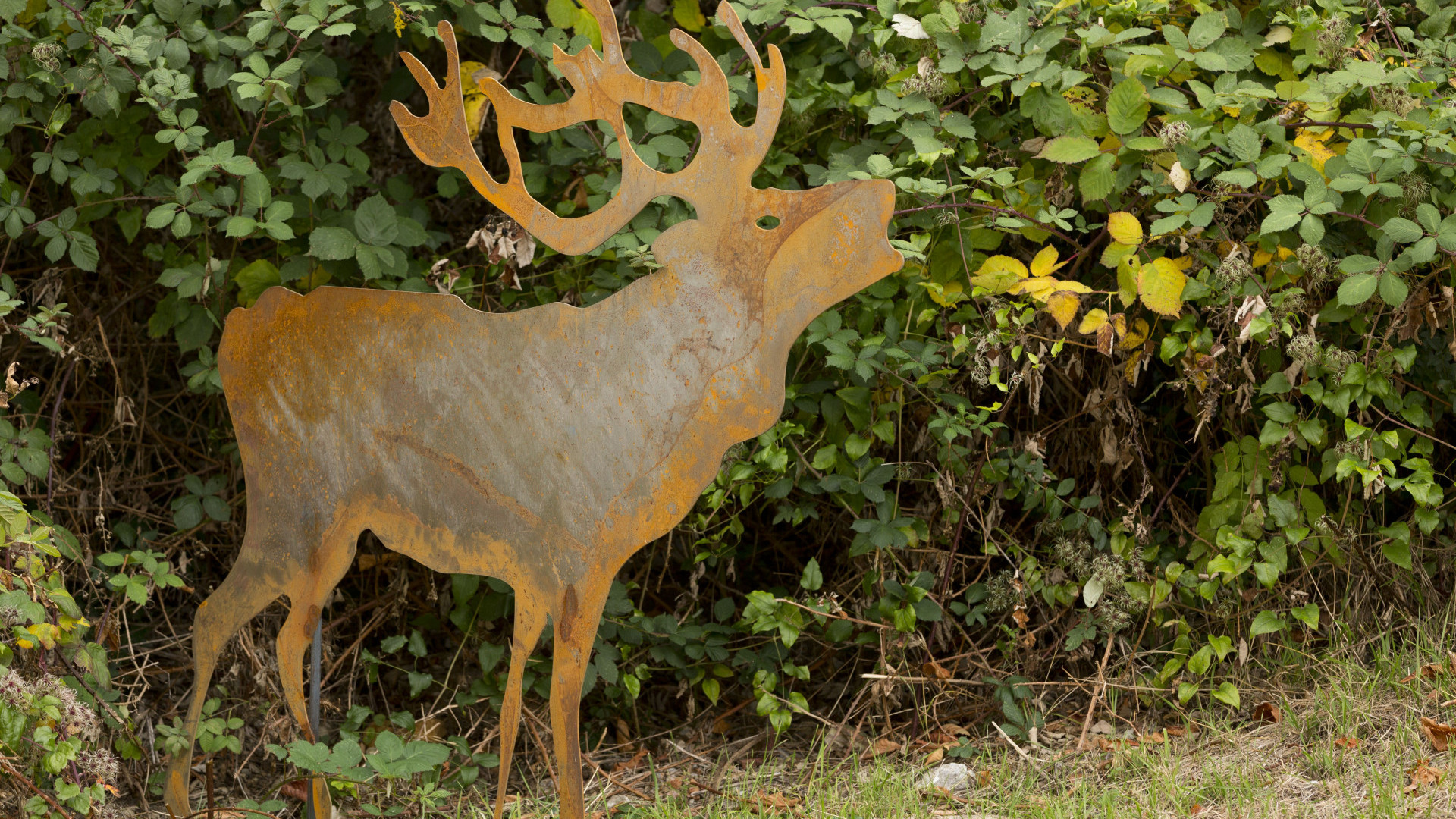 _I5A4002_Futter Fotodesign