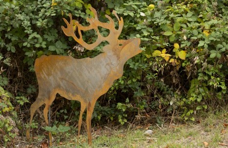 _I5A4002_Futter Fotodesign